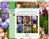 http://my-iris.narod.ru