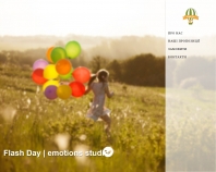 http://flashday.com.ua